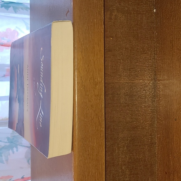 Sounding Line Novel by Anne DeGrace NOVA SCOTIA STORY - Picture 6 of 7